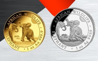 The All New 2024 Somalian Elephant Series - Now Available