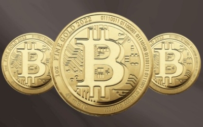 Market Perception: What Drives Bitcoin's Value?