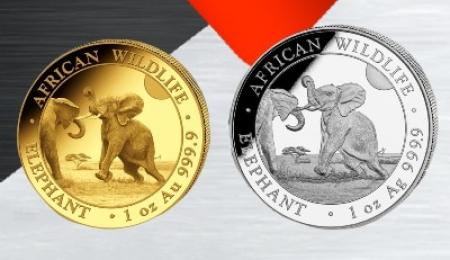 The All New 2024 Somalian Elephant Series - Now Available