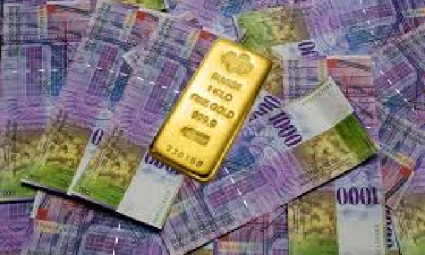 SNB Activity Indicates that Switzerland May Intervene in the Franc's Appreciation