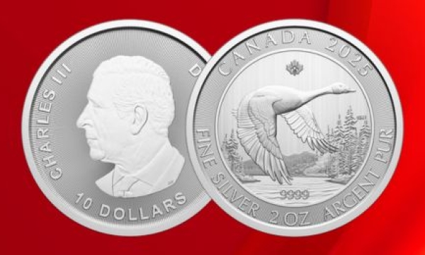 Die 2 Unzen Silbermünze „Canada Goose“ 2025 – jetzt erhältlich